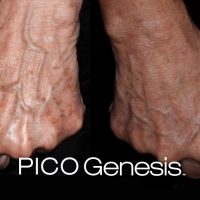 enlighten_pico-genesis_11-1024x364